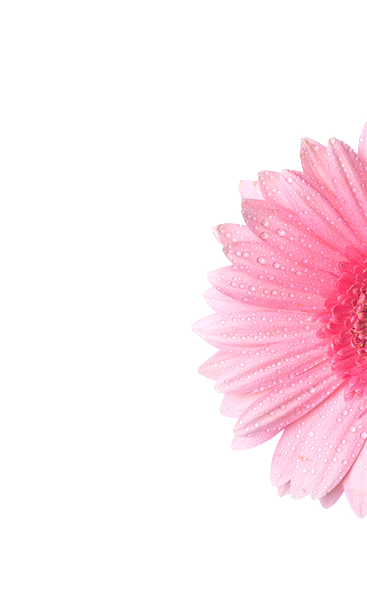 Decoración derecha 1