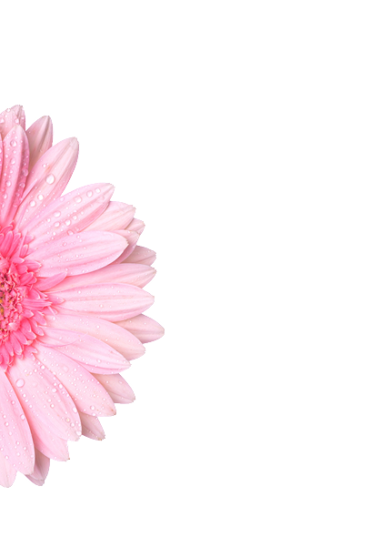 Decoración izquierda 3